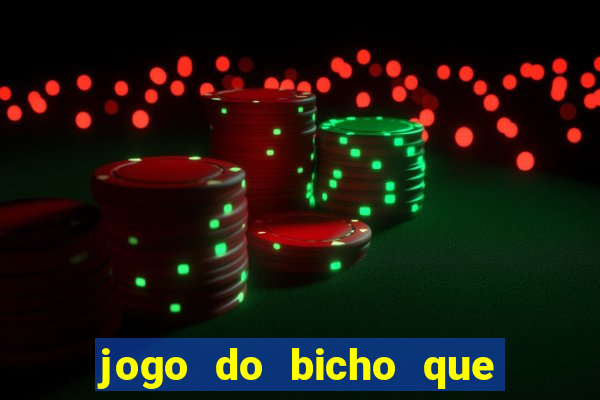 jogo do bicho que paga no pix